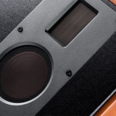 Активная полочная акустика Swan M5A