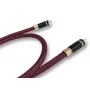 Коаксиальный кабель Ricable Invictus Coaxial 0,5 m