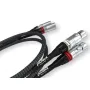 Кабель XLR Ricable Magnus Signal XLR 2 x 3 m
