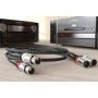 Кабель XLR Ricable Magnus Signal XLR 2 x 1 m
