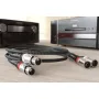 Кабель XLR Ricable Magnus Signal XLR 2 x 3 m