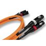 Кабель XLR Ricable Dedalus Signal XLR 2 x 0,5 m