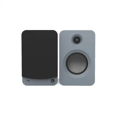 Активная полочная акустика Kanto Audio REN MG-C Grey