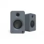 Активная полочная акустика Kanto Audio REN MG-C Grey