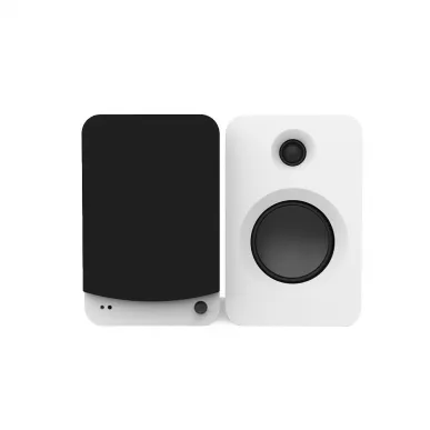 Активная полочная акустика Kanto Audio REN MW-C White