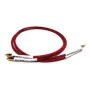 Межблочный кабель Black Rhodium INTRO RCA-RCA 1.0 m Red