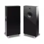 Напольная акустика Davis Acoustics THE STAGE Black