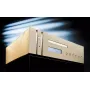 CD-проигрыватель Gold Note CD-1000-Deluxe mk2 Deluxe DSD (Gold)