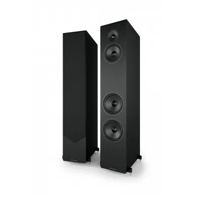 Напольная акустика Acoustic Energy AE320-2 (2025) BLACK
