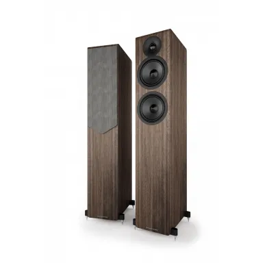 Напольная акустика Acoustic Energy AE309-2 (2025) WALNUT