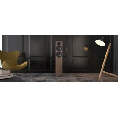 Напольная акустика Acoustic Energy AE309-2 (2025) WALNUT