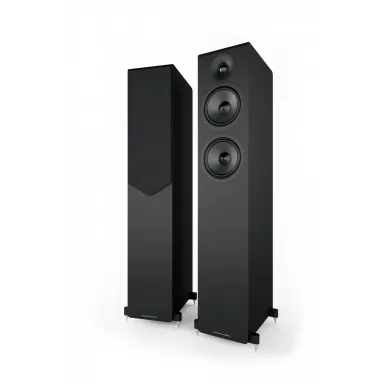 Напольная акустика Acoustic Energy AE309-2 (2025) Piano Gloss Black
