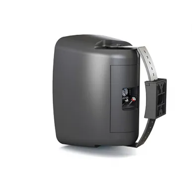 Настенная акустика CVGAUDIO OSR608TBL