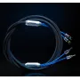 Акустический кабель Siltech Classic Legend 880L 2.5m - SSP007 - SB007