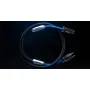 Сетевой кабель Siltech Classic Legend 880P 1m - ACEUR - IEC 10A