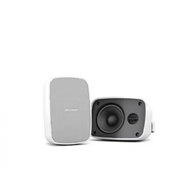 Настенная акустика CVGAUDIO OSR408TW