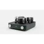 Ламповый усилитель Fezz Audio Silver Luna PRESTIGE EVO Evergreen