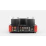 Ламповый усилитель Fezz Audio Silver Luna PRESTIGE EVO Burning Red