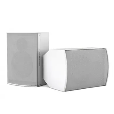 Настенная акустика CVGAUDIO BS808TW