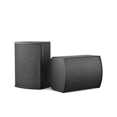 Настенная акустика CVGAUDIO BS608TBL