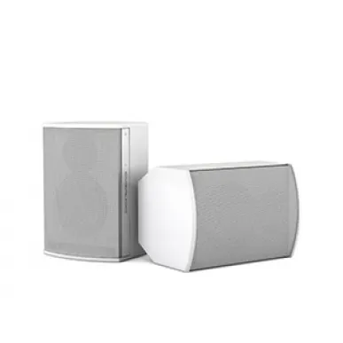 Настенная акустика CVGAUDIO BS608TW