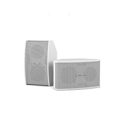 Настенная акустика CVGAUDIO AXE5:8W