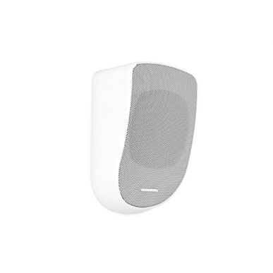 Настенная акустика CVGAUDIO WPL10TW