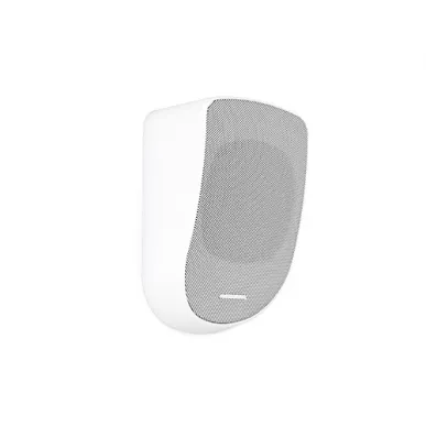 Настенная акустика CVGAUDIO WPL6TW