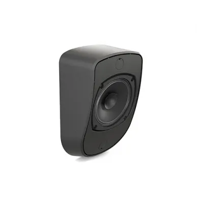 Настенная акустика CVGAUDIO WPL6TBL