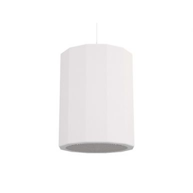 Подвесная акустика CVGAUDIO CUP 5:8TW