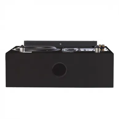 Сабвуфер DLS Flatsub Midi satin black