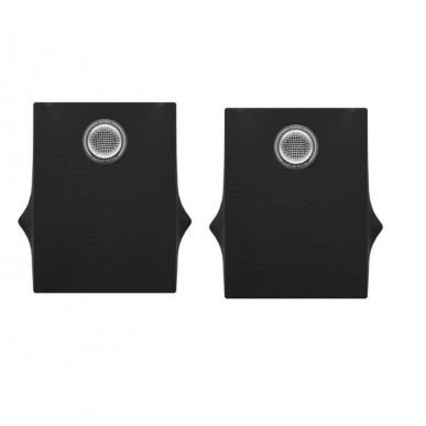 Полочная акустика Gold Note DIANA I (black (gold tweeter))