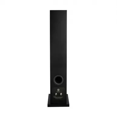Напольная акустика System Audio SA Signature 40 Satin Black