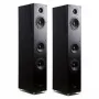 Напольная акустика Radiotehnika Gamma 3.03 Black Ash