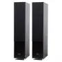 Напольная акустика Radiotehnika Gamma 3.02 Black Ash