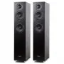 Напольная акустика Radiotehnika Gamma 3.02 Black Ash