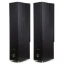 Напольная акустика Radiotehnika Gamma 3.02 Black Ash