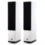 Напольная акустика Radiotehnika Gamma 3.02 White Ash