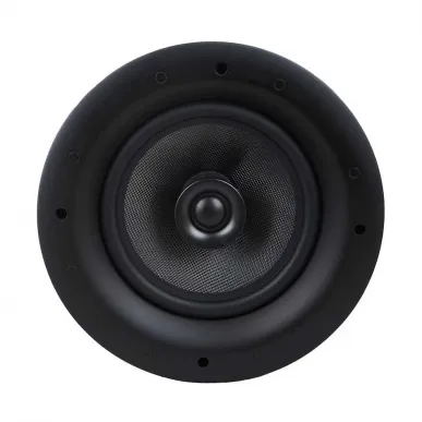 Потолочная акустика Davis Acoustics 210 RO PRO White