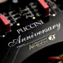 Стереоусилитель Audio Analogue Puccini Anniversary Black