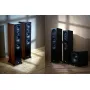 Напольная акустика HECO Aurora XT 1000 Black / Oak