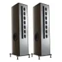 Напольная акустика T+A Solitaire S 530 Makassar hg - silver