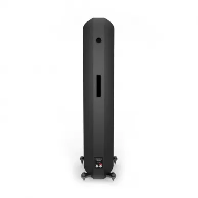 Напольная акустика Acoustic Energy AE Corinium - Matte Black