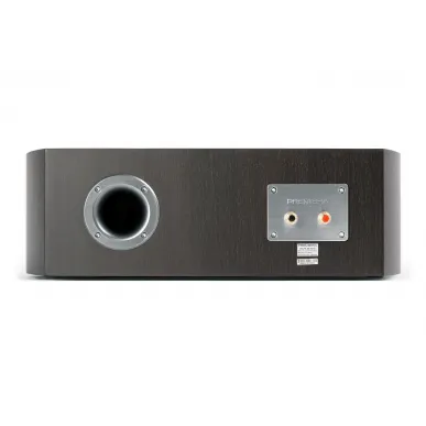 Центральный канал PREMIERA DS-521C MC