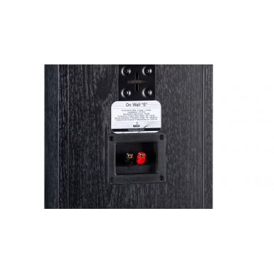 Настенная акустика Davis Acoustics Model S Black/Dark Grey