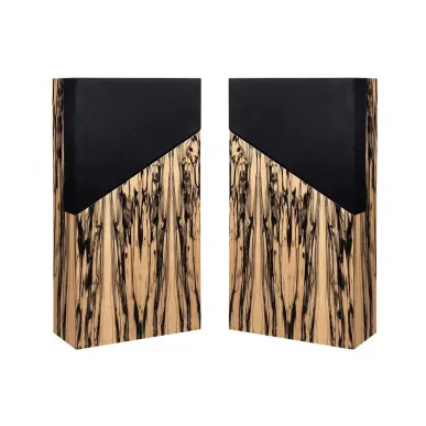 Напольная акустика Davis Acoustics THE WALL White Ebony