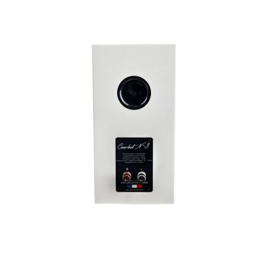 Полочная акустика Davis Acoustics Courbet 3 White Gloss