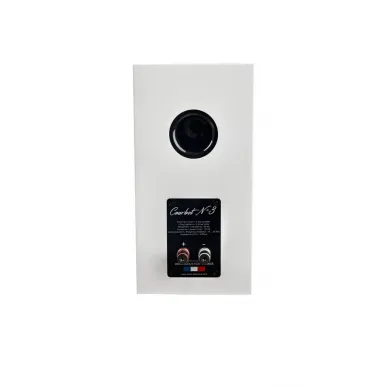 Полочная акустика Davis Acoustics Courbet 3 White Gloss