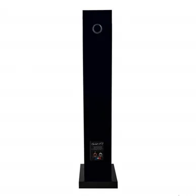 Напольная акустика Davis Acoustics Courbet 5 Black Gloss