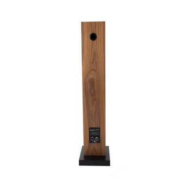 Напольная акустика Davis Acoustics Courbet 5 Walnut Venner
